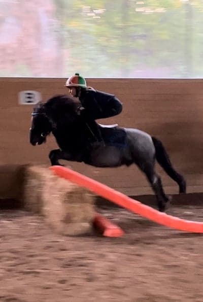 Inlägg 79 av Galopp med titeln Äntligen sihs träning!🥳🤩