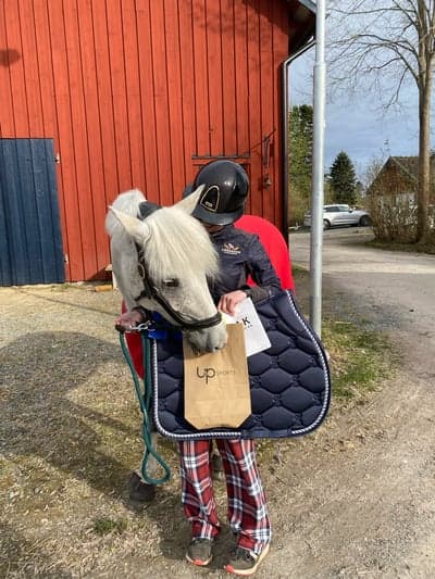 Inlägg 58 av Allround med titeln Älskade ponny❤️