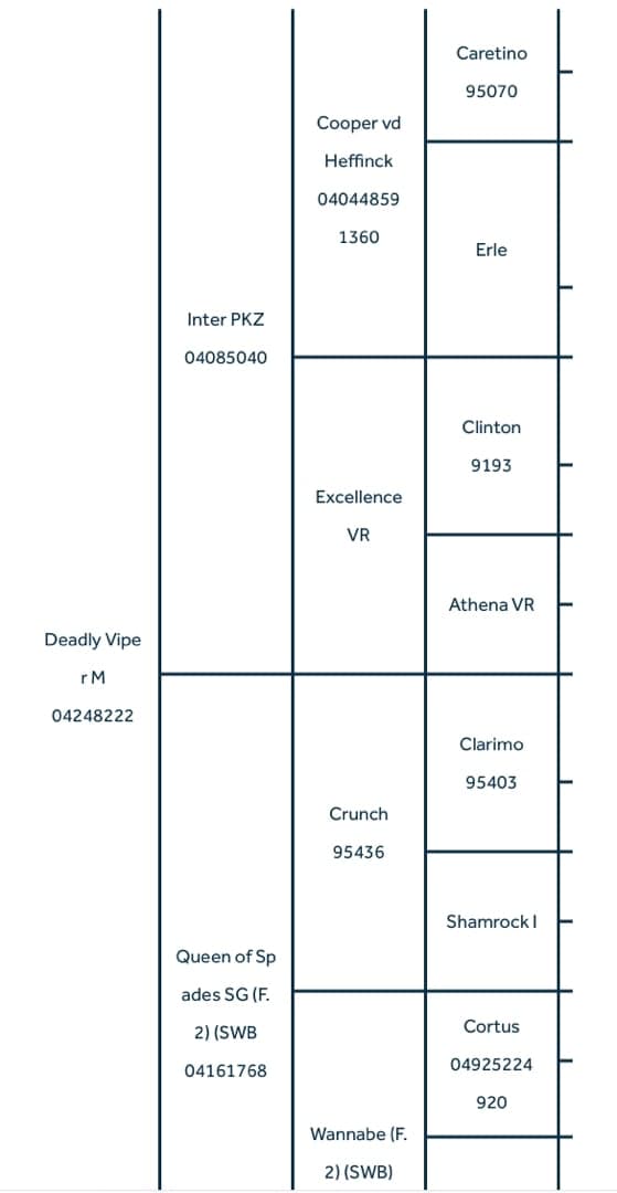 Bild 2 av Deadly Viper M