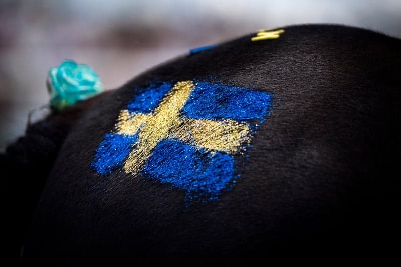 Bild 3 av 🇸🇪 Upplev SM i ponnygalopp på nationaldagsgaloppen på Gärdet!