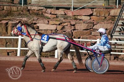 Inlägg 38 av Allround med titeln Ponnytrav 