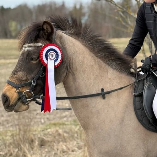 Profilbild av Astrid Bringnäs