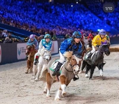 Inlägg 7 av Galopp med titeln Danstorps Manolito - Clara Dhakal