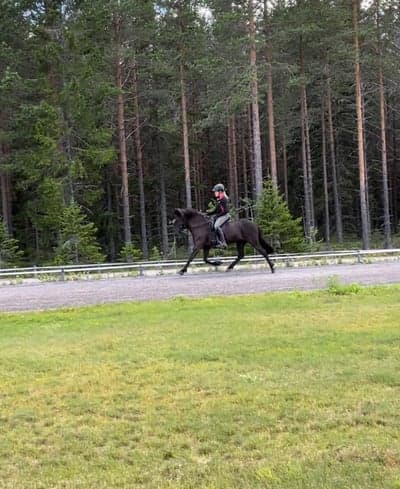 Inlägg 48 av Island