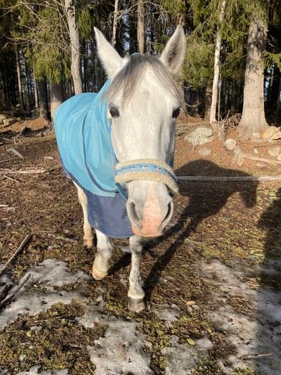 Inlägg 14 av Allround