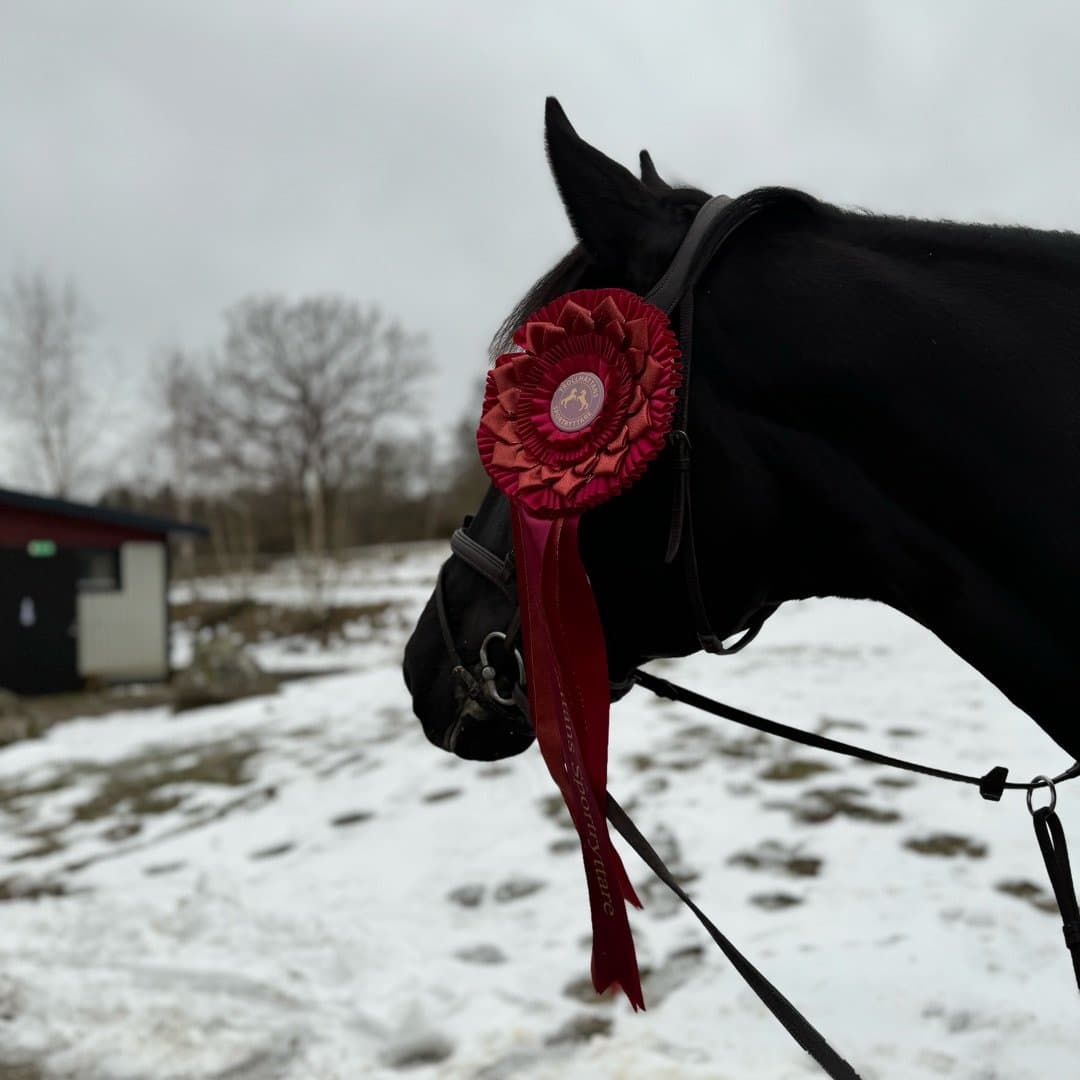 Image 1 of Metallica