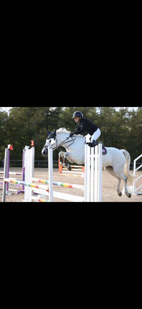 Bild 1 av Darcy's Bride