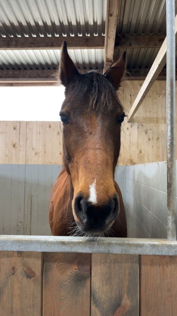 Bild 3 av Tout la Face