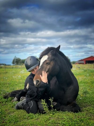 Inlägg 115 av Allround