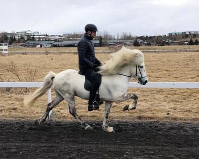 Inlägg 27 av Island