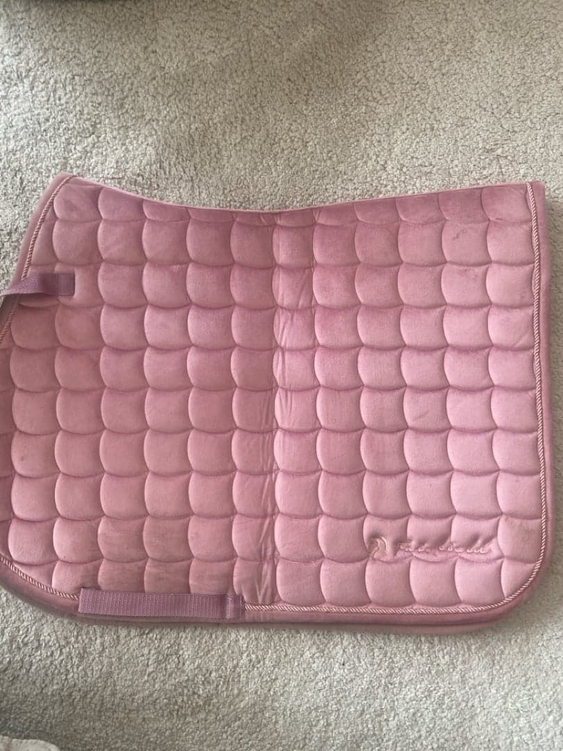 Bild 1 av Rosa schabrak