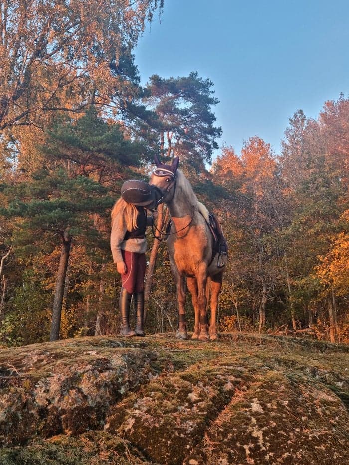 Media 1 av Rock house spotty