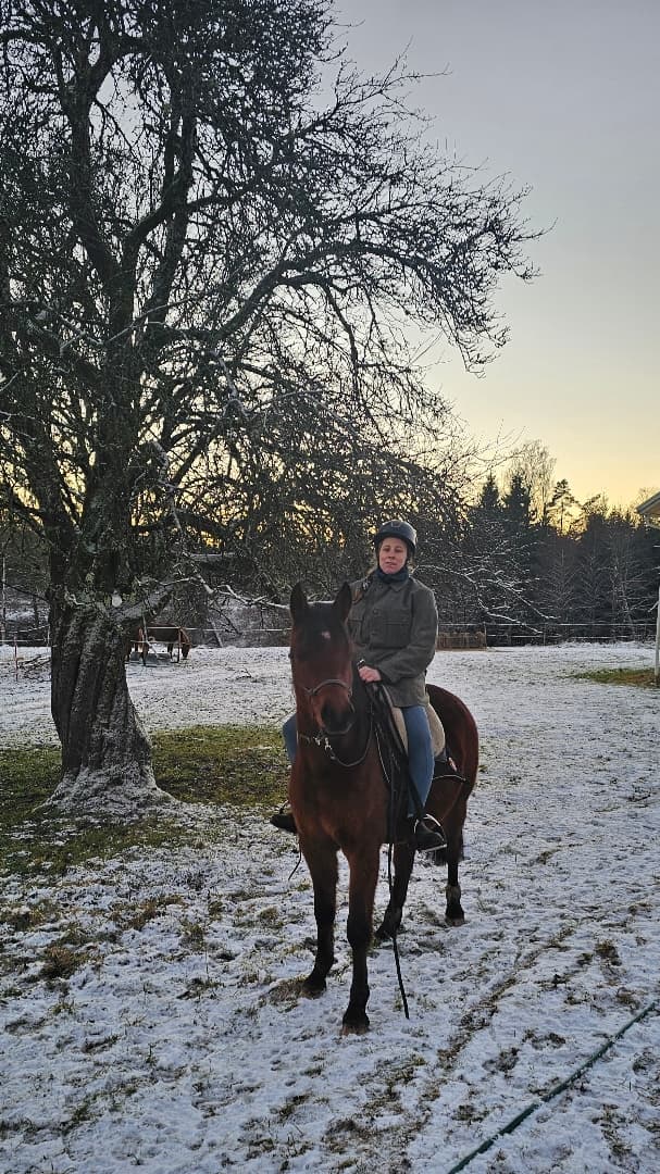 Media 6 of Ákombákom