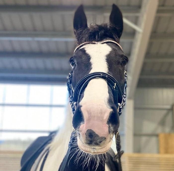 Media 1 of Engelina van Walseth