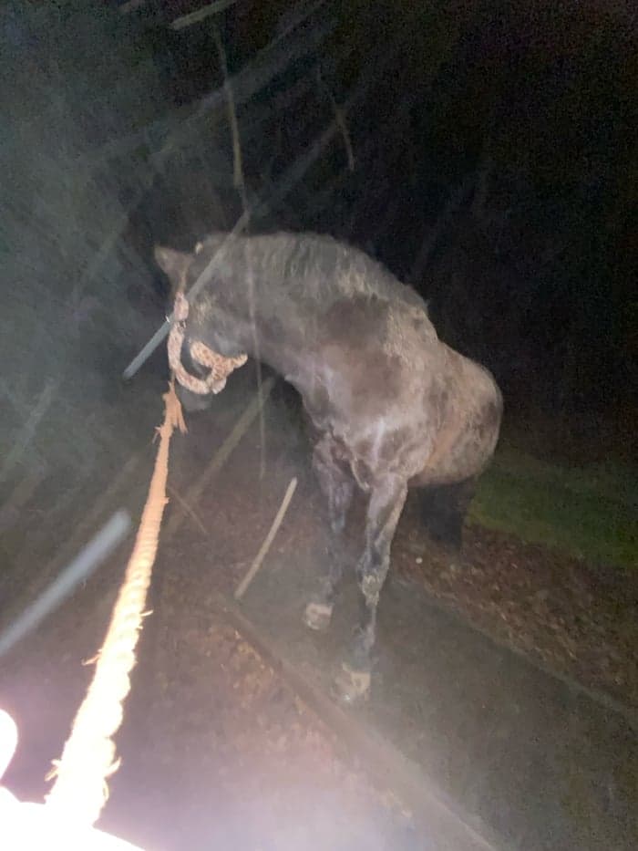 Media 2 av Ängsgårdenen sonny