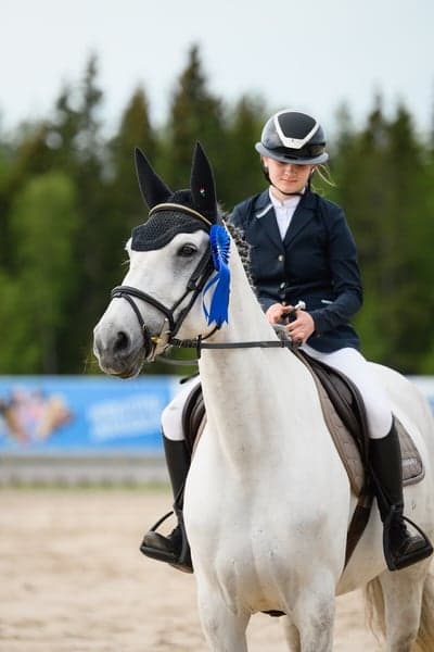 Inlägg 431 av Hoppning