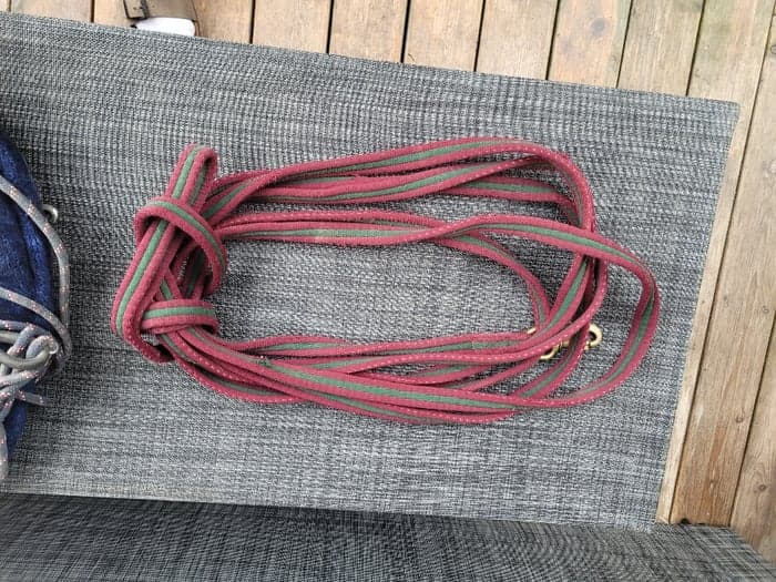 Media 1 av Red and green lunge rope