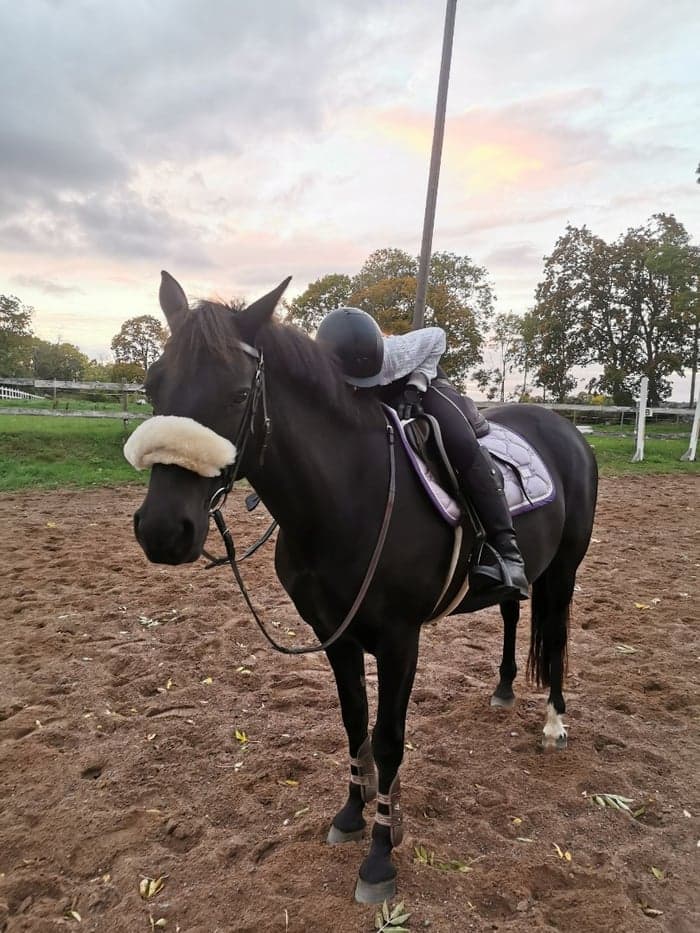 Media 1 av Sptingfield princess