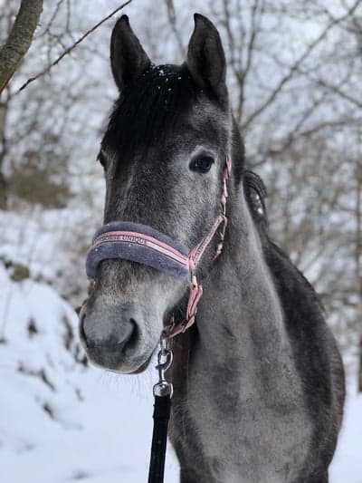 Inlägg 166 av Allround