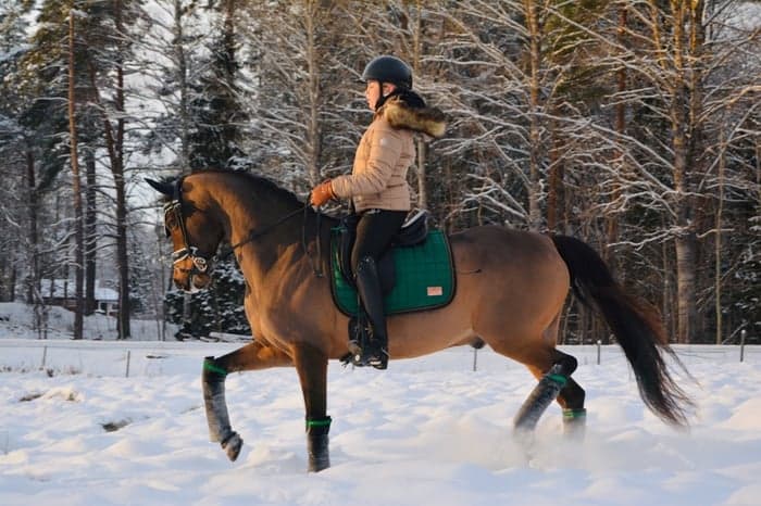 Media 1 av Vive Le Roi
