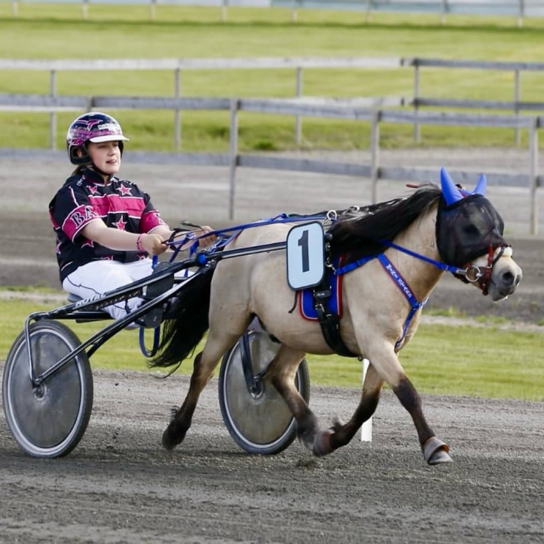 Bild 1 av Lexie's Falling From Fame