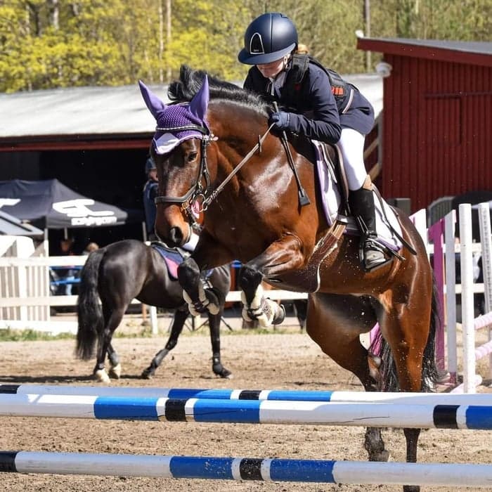 Media 1 of Merrianna