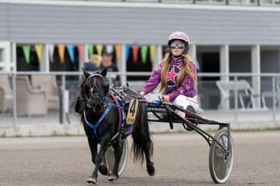 Inlägg 12 av Trav med titeln DPK’s ponnytravgala 2023 🏆