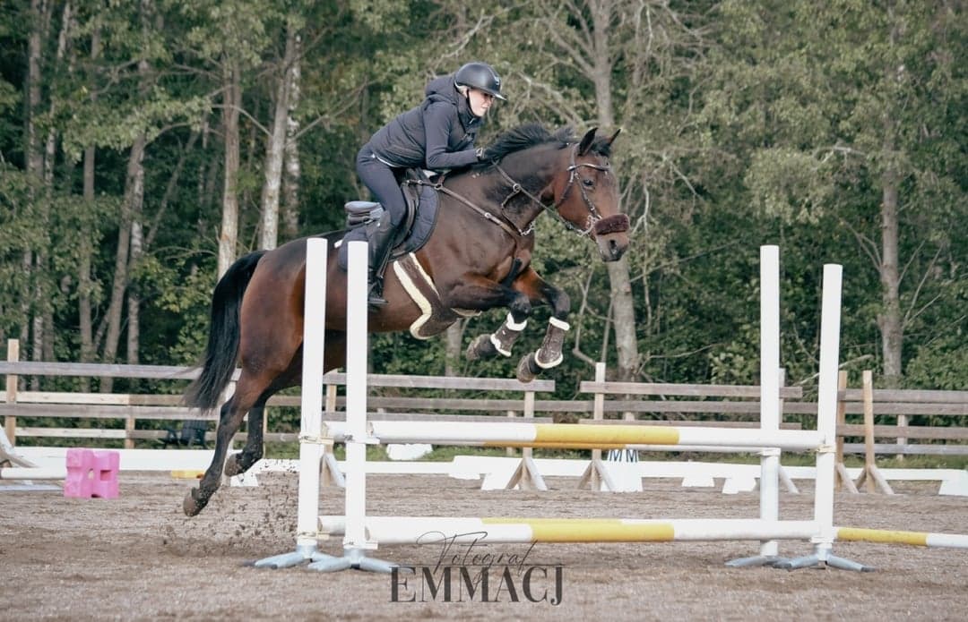 Bild 1 av Malin Tilly