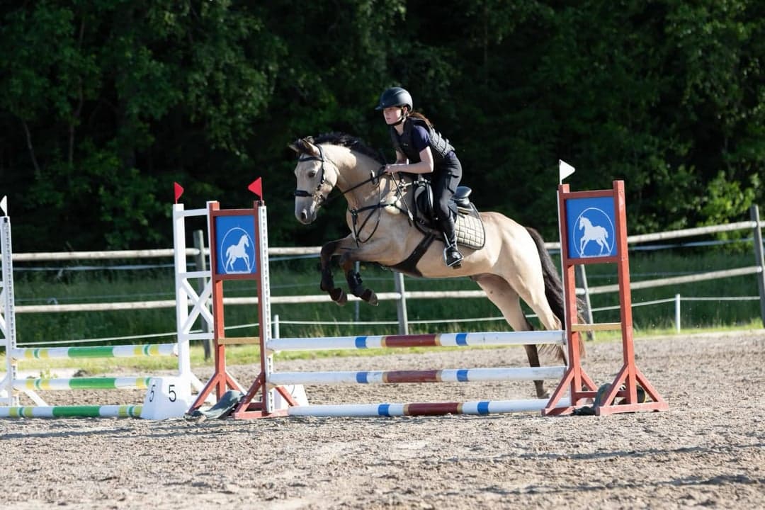 Bild 1 av Aasteupgaards elias