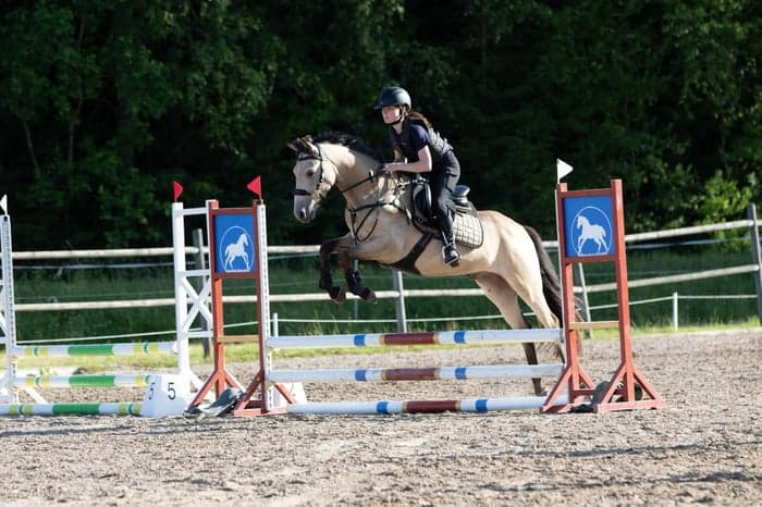 Media 1 av Aasteupgaards elias