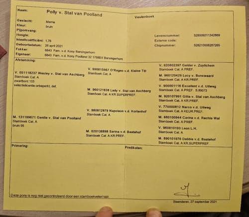 Bild av Super sött sto