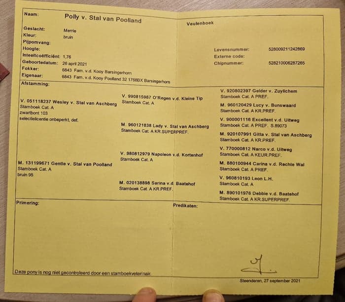 Media 7 av Polly v. Stal van Poolland
