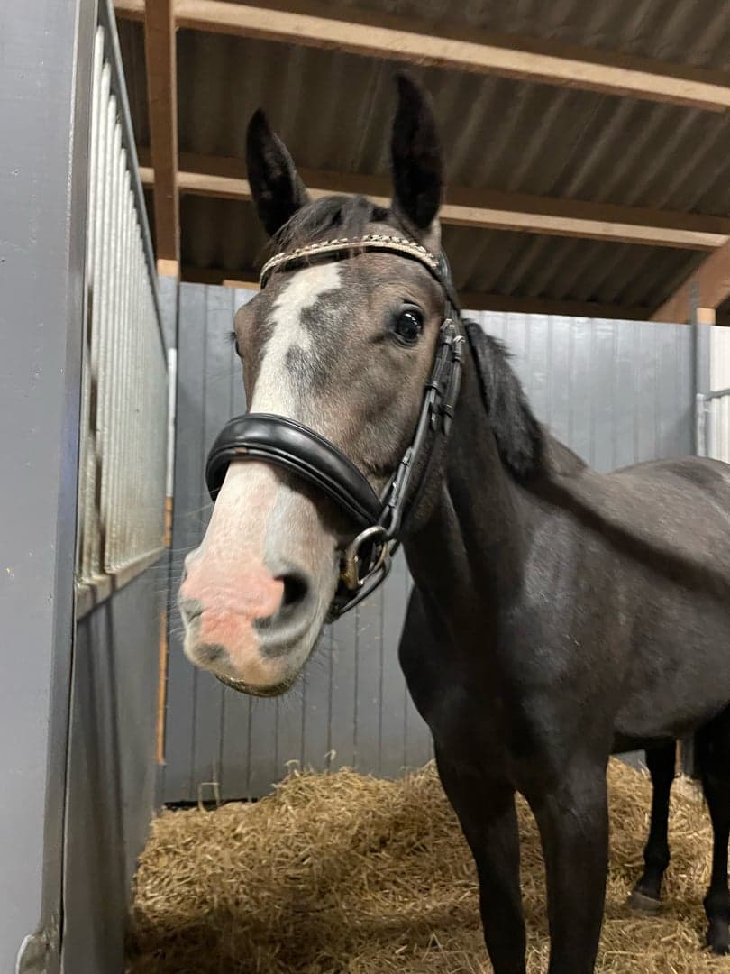 Bild 1 av Silber bullet H