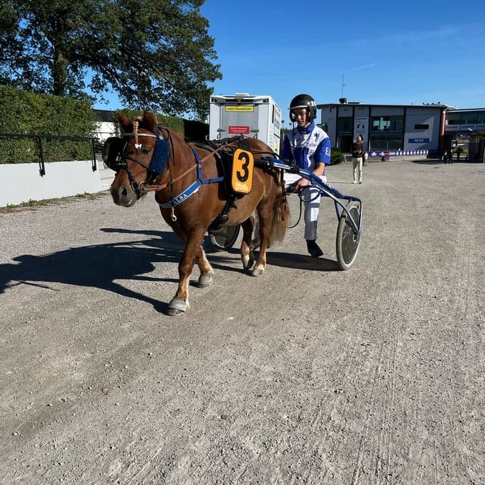 Media 1 av Edinburgs Älsa