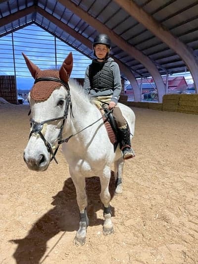 Inlägg 7 av Lipizzaner med titeln Träning i kärrbo