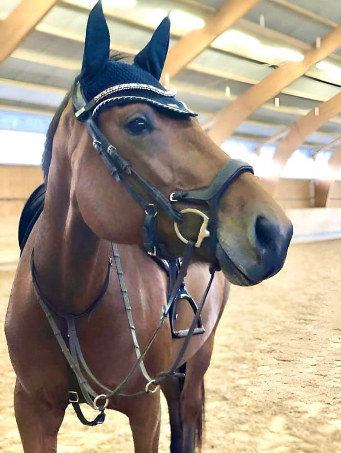 Media 2 of Swb sto f 15