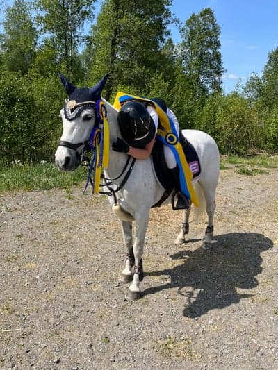 Inlägg 204 av Hoppning med titeln Vinst och nolla i msv:B med älskade Daphne i Värnamo💕🫶🏻