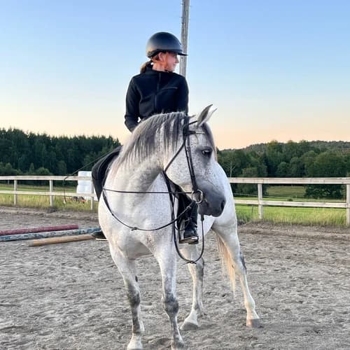 Profilbild av Molly Westerhäll