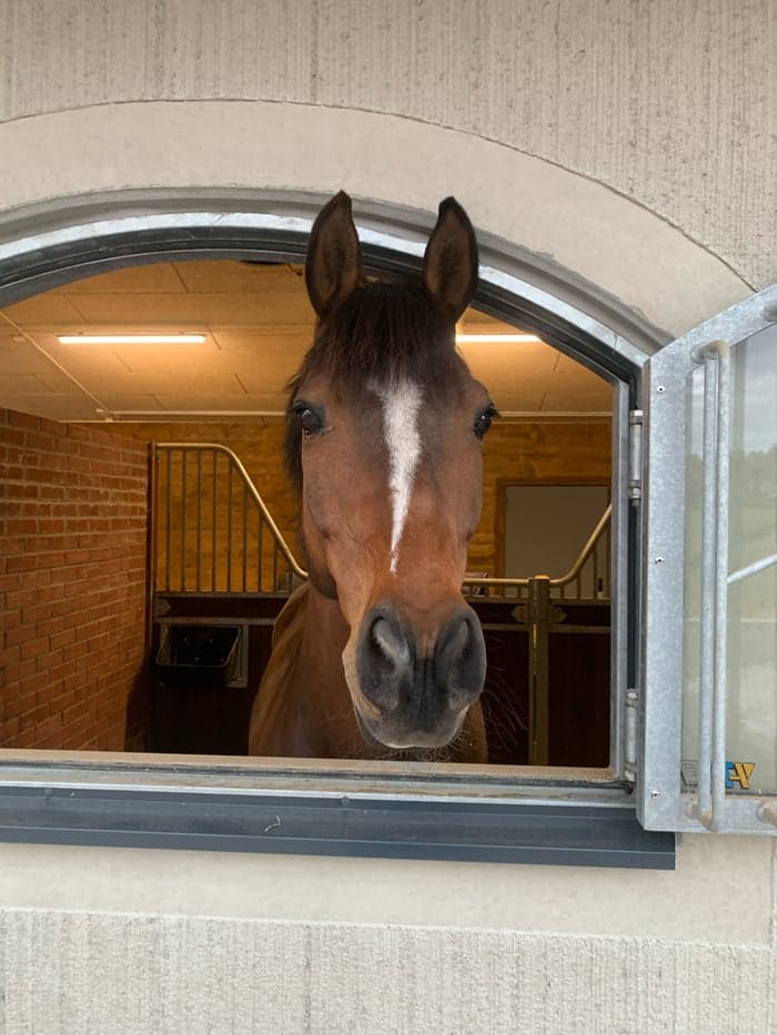 Media 2 av Li Deluxe