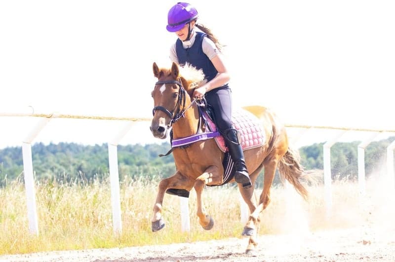 Bild 4 av Ridläger med fokus på ponnygalopp – öppet för nybörjare