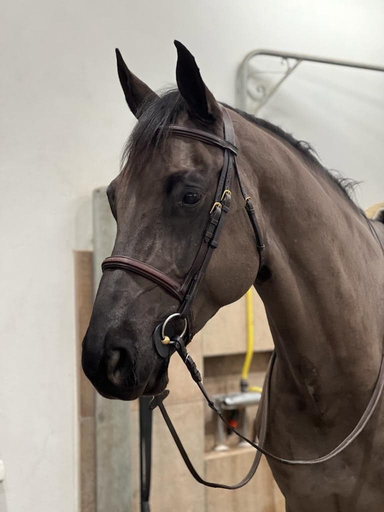 Bild 2 av Django Unchained Z