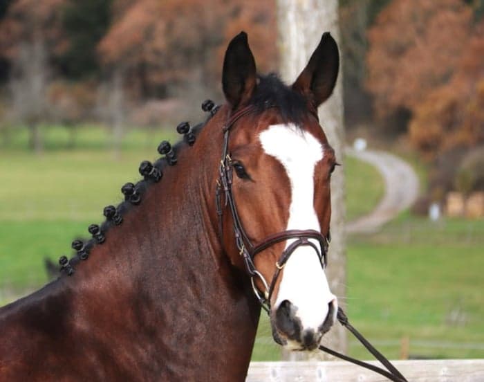 Media 2 av Herrlicher Sportler mit grosser Zukunft