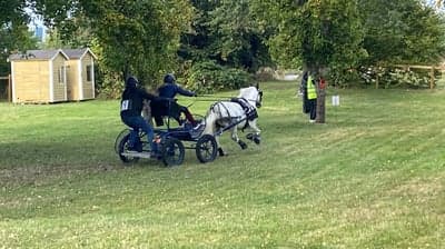 Inlägg 4 av Sportkörning
