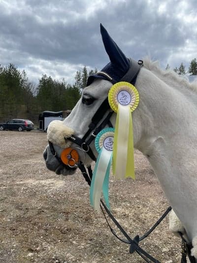 Inlägg 304 av Hoppning med titeln Rio på tävling 