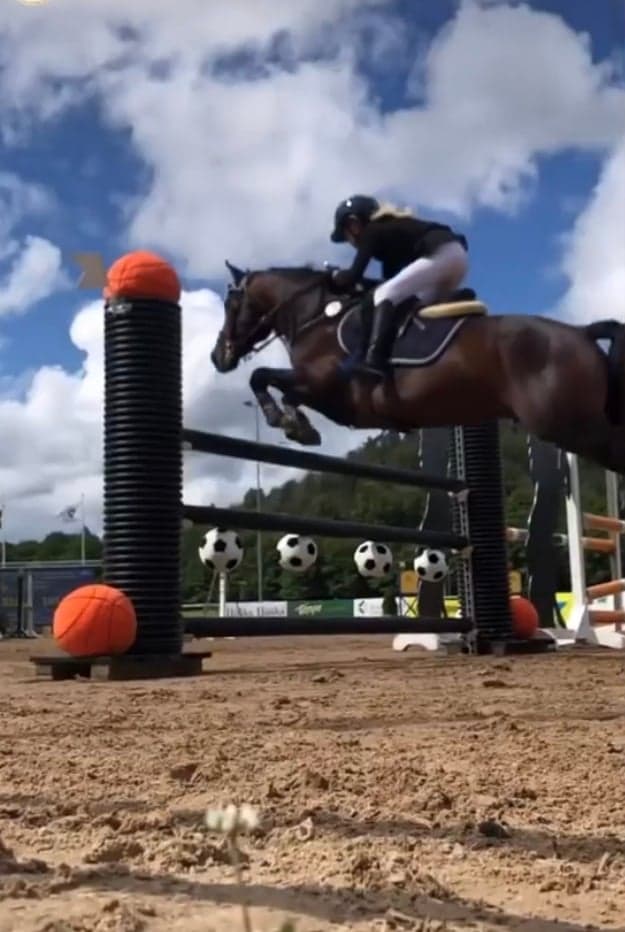 Image 1 of Dimmans Emir RNF 208