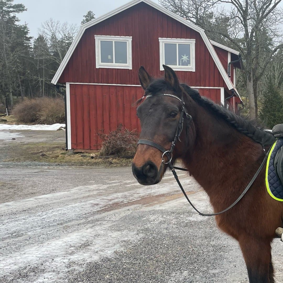 Bild 1 av Cisco