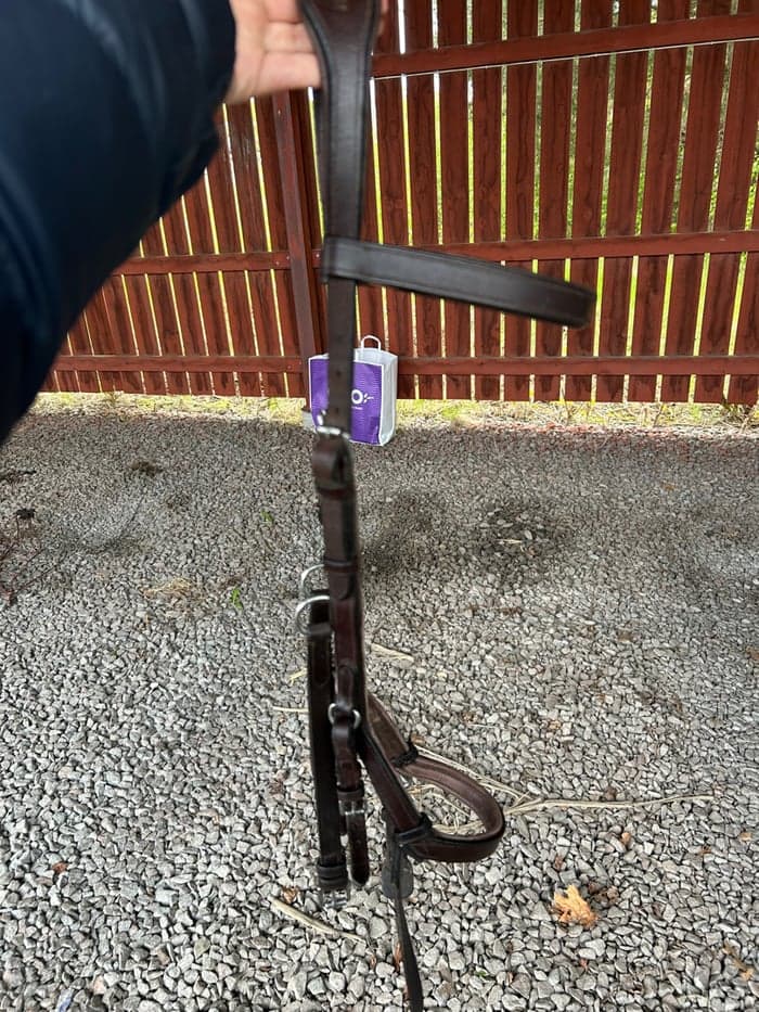 Media 1 av Brunt mikelem träns