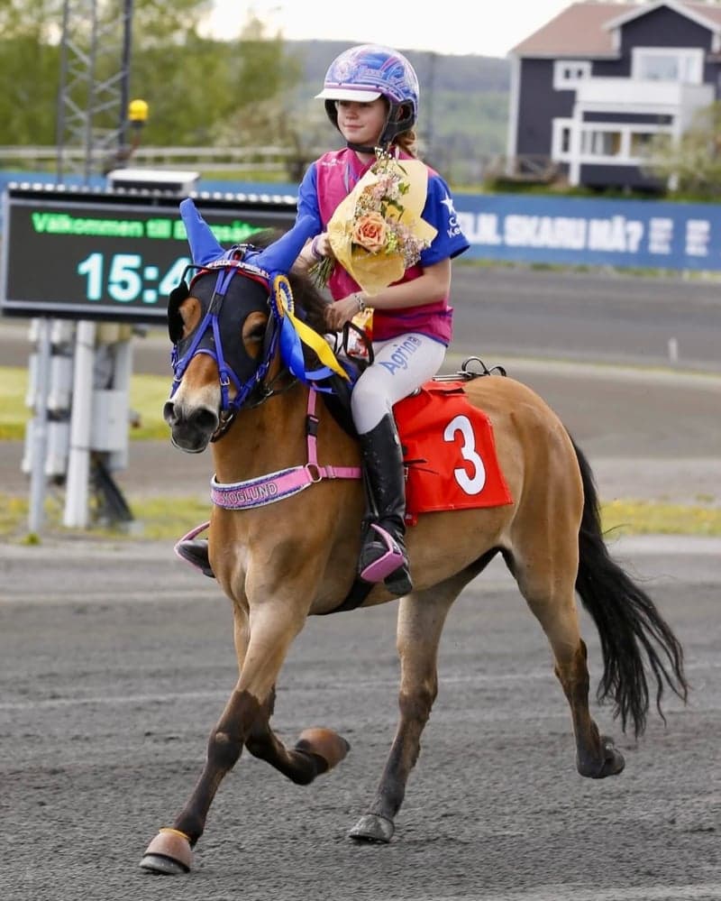 Bild 3 av Träning och tävling ponnytrav