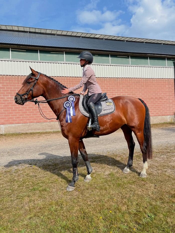 Media 1 av Ocean's Dream HX