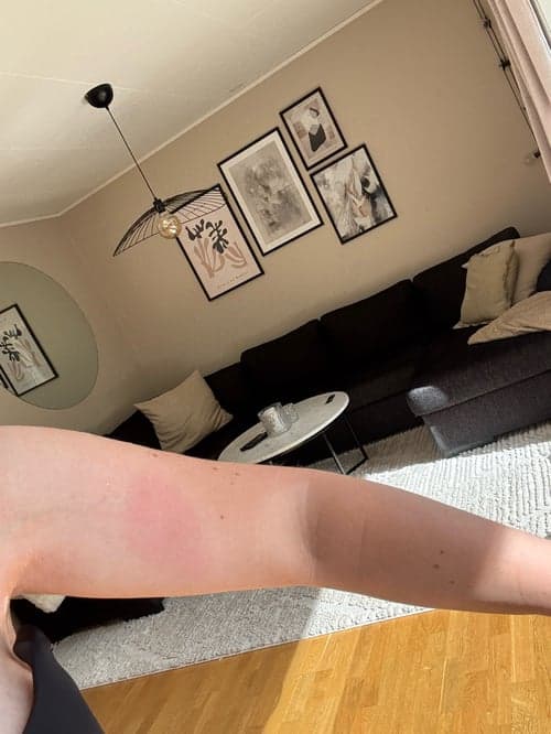 Bild av Världens finaste Rebus